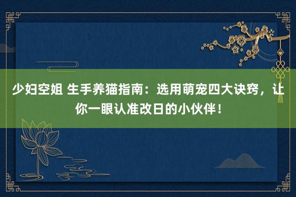 少妇空姐 生手养猫指南：选用萌宠四大诀窍，让你一眼认准改日的小伙伴！