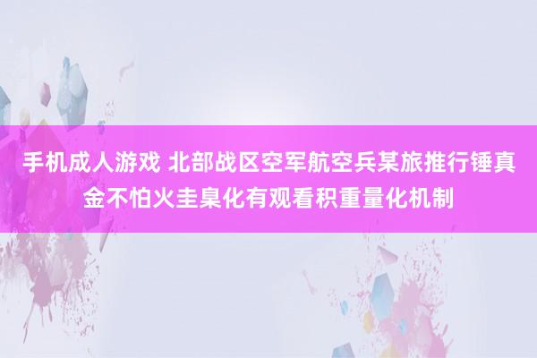 手机成人游戏 北部战区空军航空兵某旅推行锤真金不怕火圭臬化有观看积重量化机制