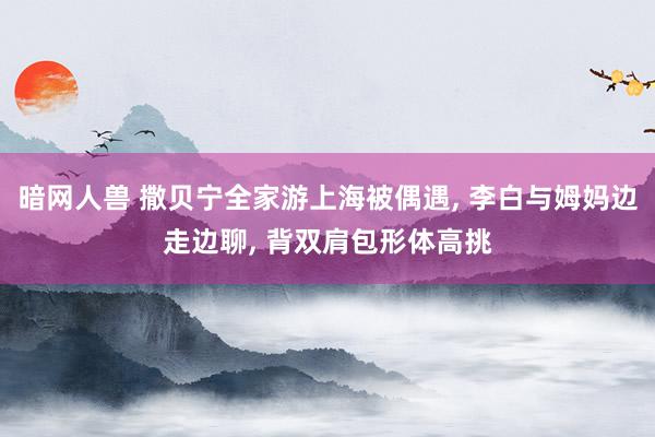 暗网人兽 撒贝宁全家游上海被偶遇， 李白与姆妈边走边聊， 背双肩包形体高挑