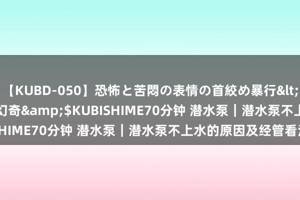 【KUBD-050】恐怖と苦悶の表情の首絞め暴行</a>2013-03-18幻奇&$KUBISHIME70分钟 潜水泵｜潜水泵不上水的原因及经管看法