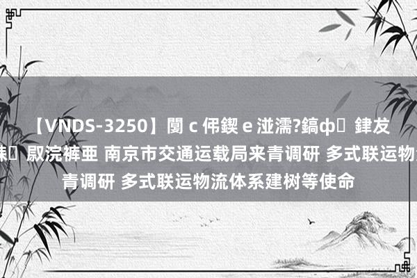 【VNDS-3250】闅ｃ伄鍥ｅ湴濡?鎬ф銉犮儵銉犮儵 娣倝銇叞浣裤亜 南京市交通运载局来青调研 多式联运物流体系建树等使命