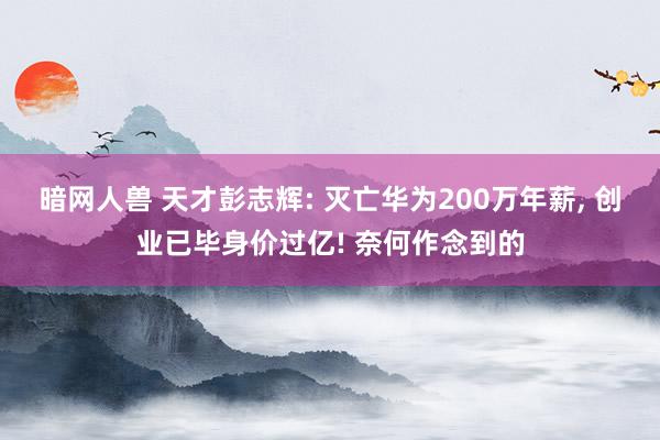 暗网人兽 天才彭志辉: 灭亡华为200万年薪， 创业已毕身价过亿! 奈何作念到的