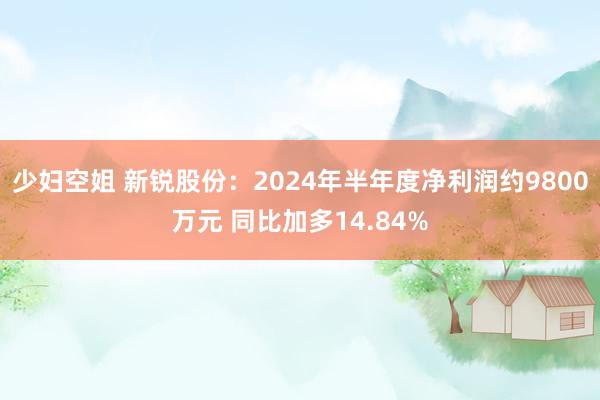 少妇空姐 新锐股份：2024年半年度净利润约9800万元 同比加多14.84%