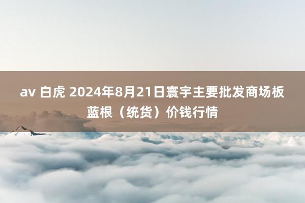 av 白虎 2024年8月21日寰宇主要批发商场板蓝根（统货）价钱行情