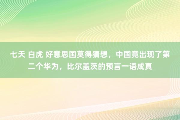 七天 白虎 好意思国莫得猜想，中国竟出现了第二个华为，比尔盖茨的预言一语成真