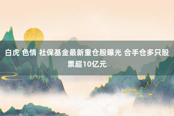 白虎 色情 社保基金最新重仓股曝光 合手仓多只股票超10亿元