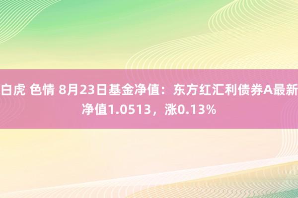 白虎 色情 8月23日基金净值：东方红汇利债券A最新净值1.0513，涨0.13%