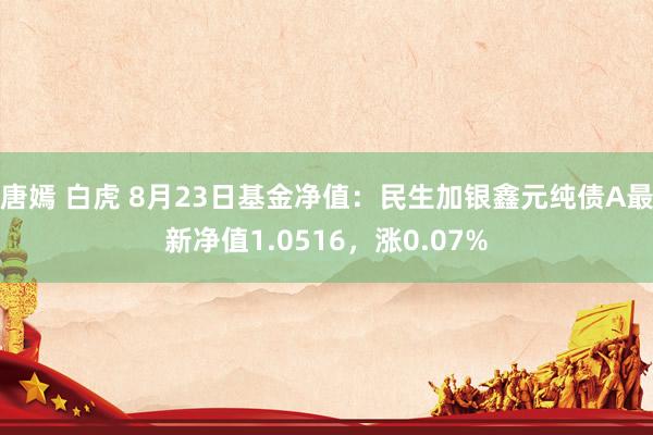 唐嫣 白虎 8月23日基金净值：民生加银鑫元纯债A最新净值1.0516，涨0.07%