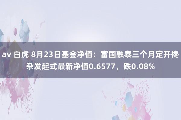 av 白虎 8月23日基金净值：富国融泰三个月定开搀杂发起式最新净值0.6577，跌0.08%