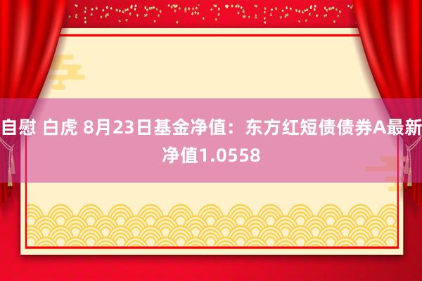 自慰 白虎 8月23日基金净值：东方红短债债券A最新净值1.0558