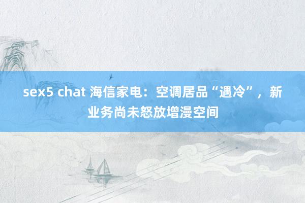 sex5 chat 海信家电：空调居品“遇冷”，新业务尚未怒放增漫空间