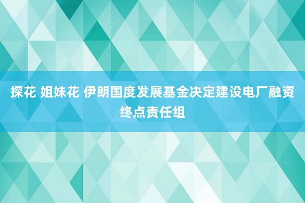 探花 姐妹花 伊朗国度发展基金决定建设电厂融资终点责任组