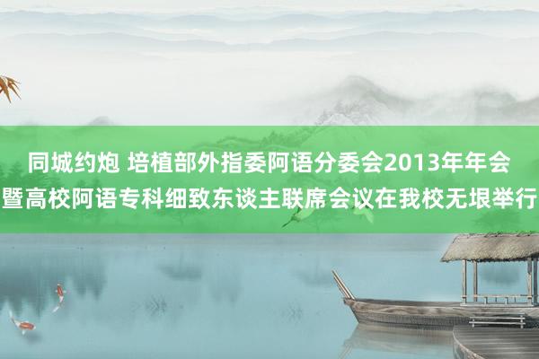 同城约炮 培植部外指委阿语分委会2013年年会暨高校阿语专科细致东谈主联席会议在我校无垠举行