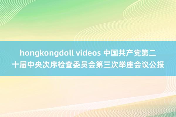 hongkongdoll videos 中国共产党第二十届中央次序检查委员会第三次举座会议公报