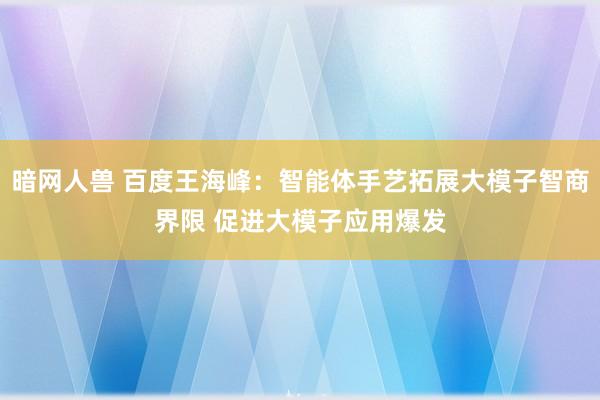 暗网人兽 百度王海峰：智能体手艺拓展大模子智商界限 促进大模子应用爆发