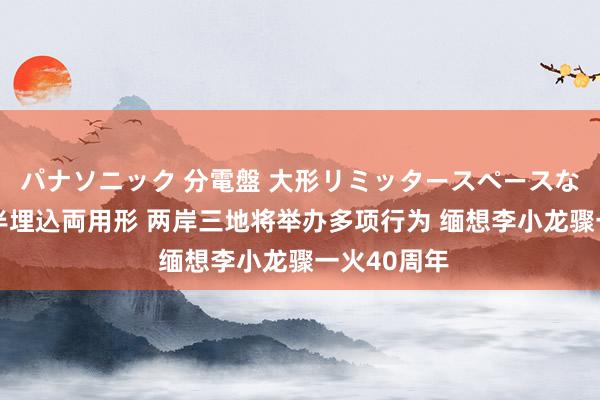 パナソニック 分電盤 大形リミッタースペースなし 露出・半埋込両用形 两岸三地将举办多项行为 缅想李小龙骤一火40周年